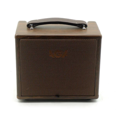 ตู้แอมป์กีต้าร์โปร่ง Aroma AGA-SC-X1