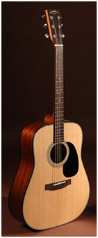 Sigma Guitar DM-1ST
