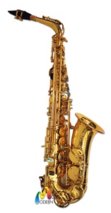 Overtone Alto Saxophone รุ่น  gold lacquer OSA-101 อัลโตแซกโซโฟน ยี่ห้อ โอเว่อร์โทน รุ่น OSA-101
