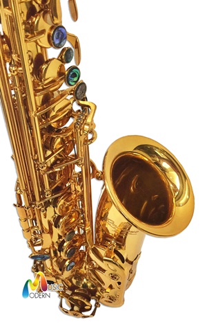 Overtone Alto Saxophone รุ่น  gold lacquer OSA-101 อัลโตแซกโซโฟน ยี่ห้อ โอเว่อร์โทน รุ่น OSA-101