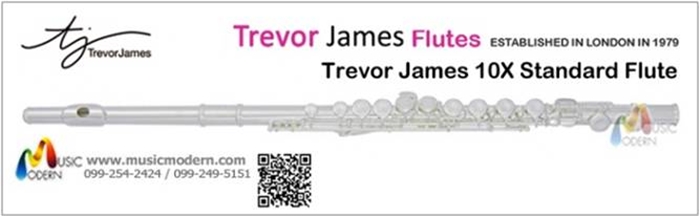 Flute Trevor James 10X