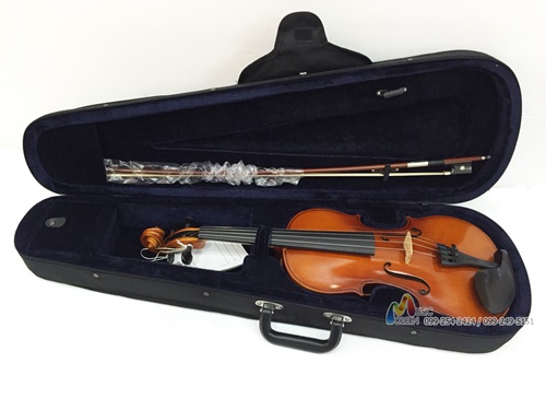 Hofner violin H-3 ไวโอลิน ฮอฟเนอร์ (Made in Germany)